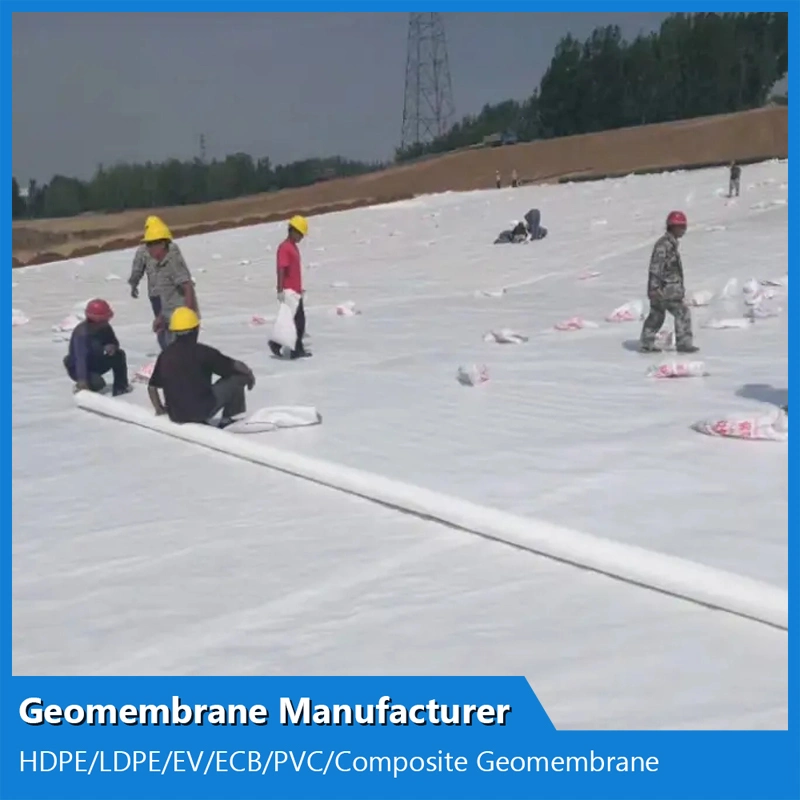 Woven Goetextile Reinforcement Building Material Waterproof Membrane Composite Geotextile with Good Price