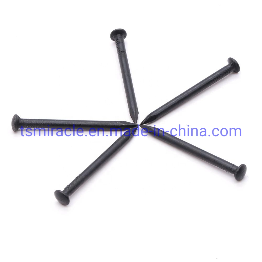 High Quality Black Steel Concrete Nail Factory Price Cement Nail