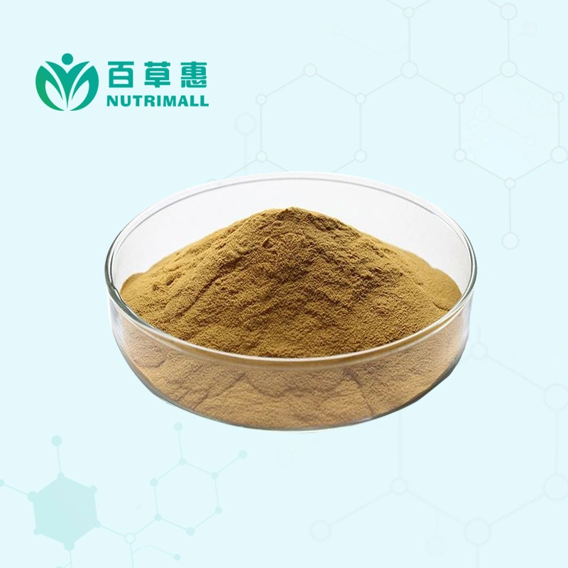 Free Sample Low Price Dandelion Extract 6% Flavone