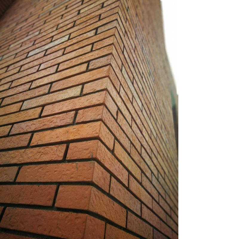 Red Perforated Clay Bricks for Construction