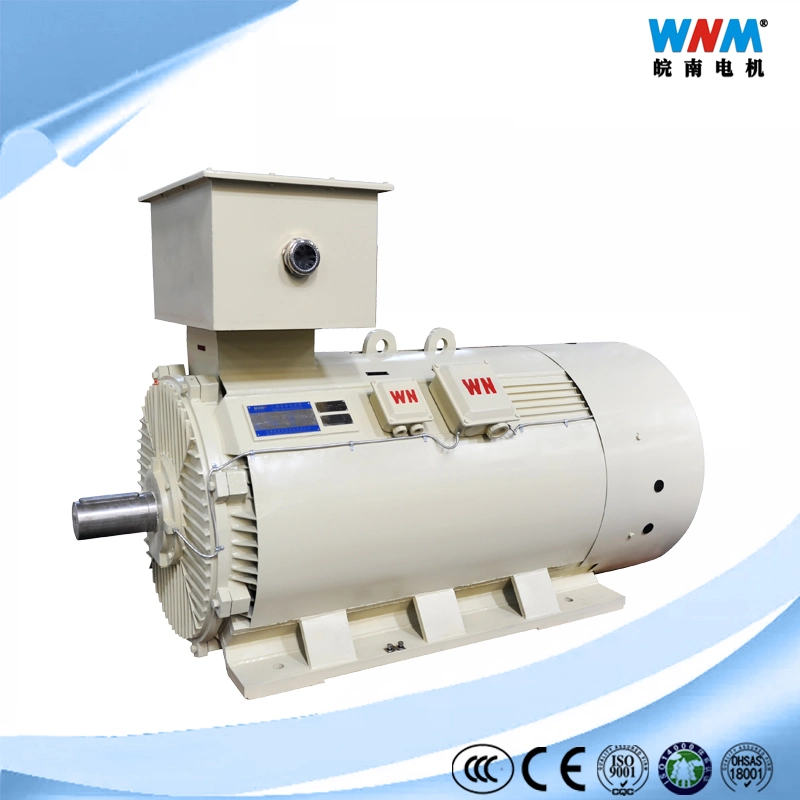 IEC Standard High Quality Premium Efficiency Three Phase Induction AC Motor Drive in Electrical Control System for Cements Mining Food Plant Textile