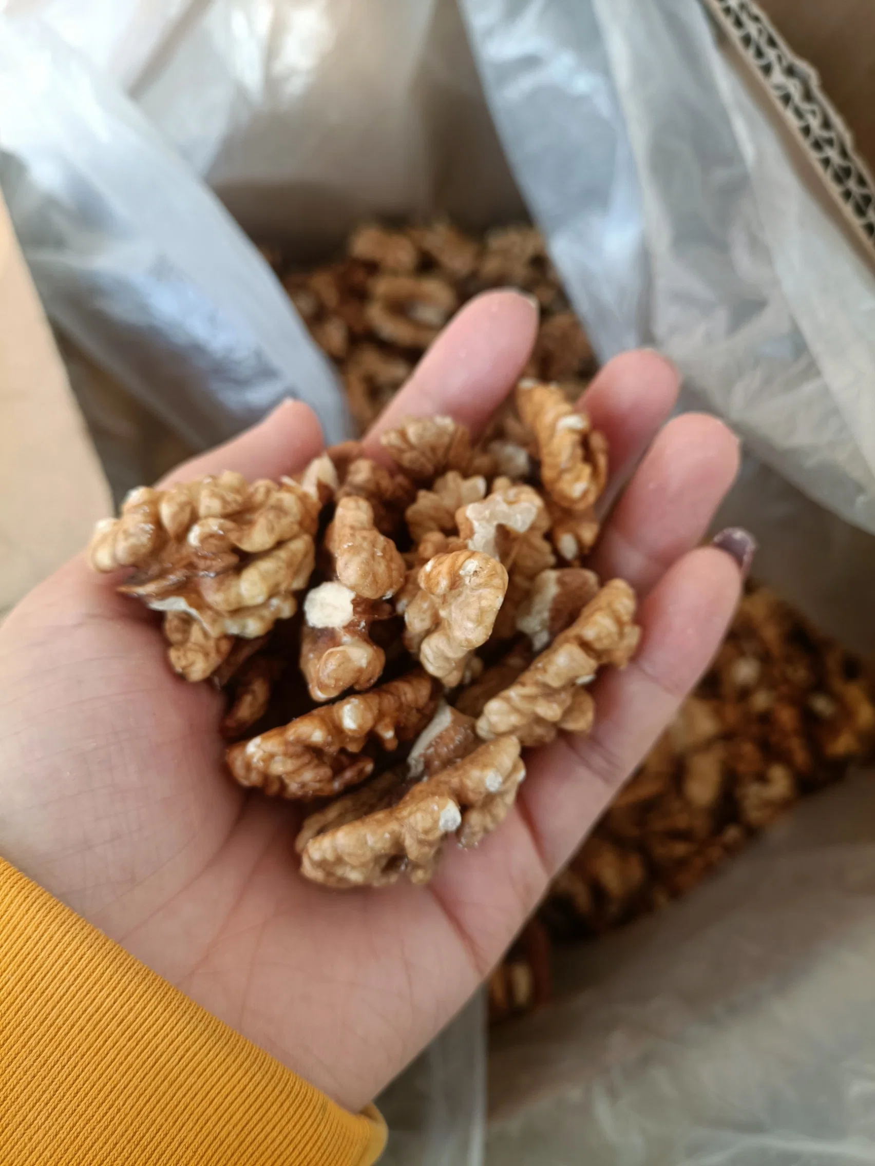 Factory Wholesale/Supplier Half Xinjiang Walnut Kernel