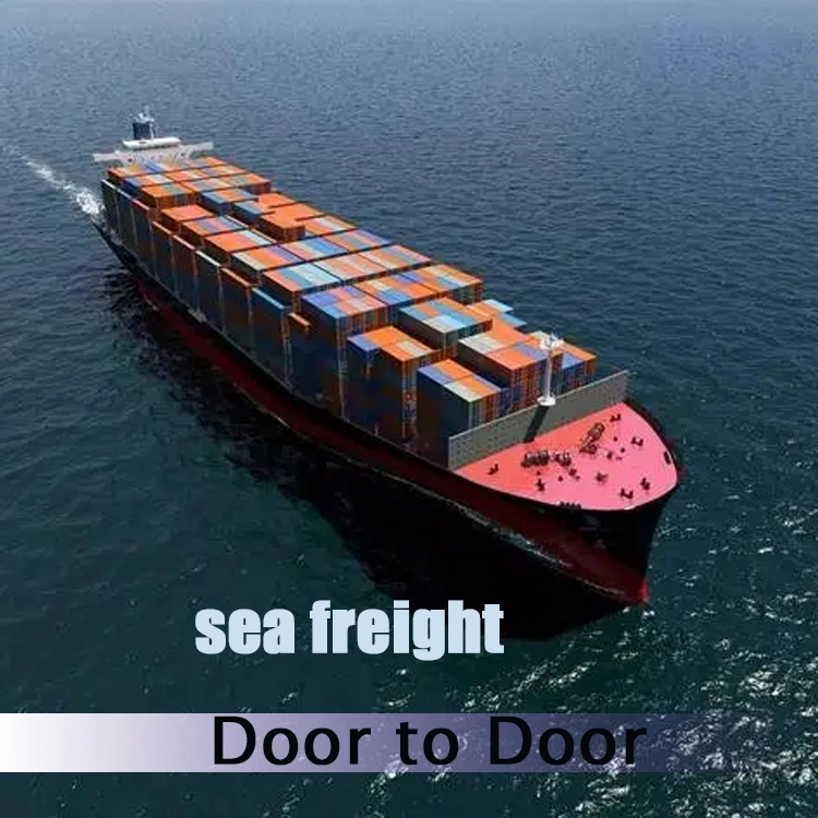 Shenzhen Freight Forwarder Sea Cargo Shipping Rates From China to Canada