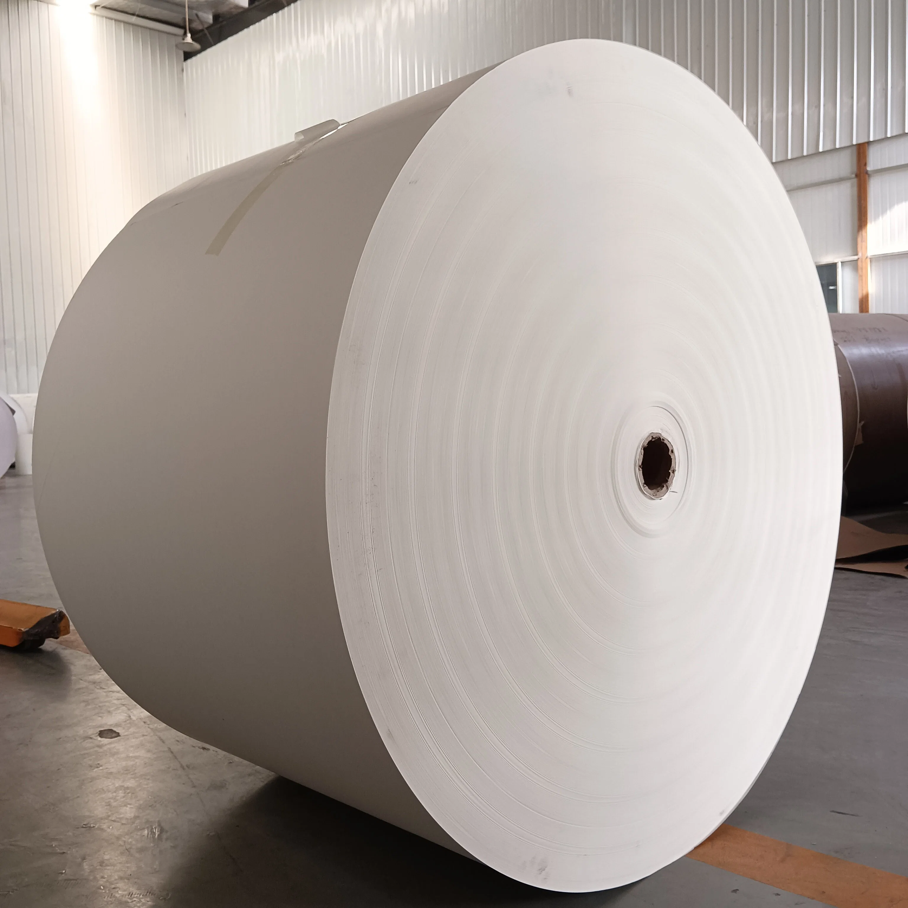 Paper Bowl Raw Material PLA Coated Paper