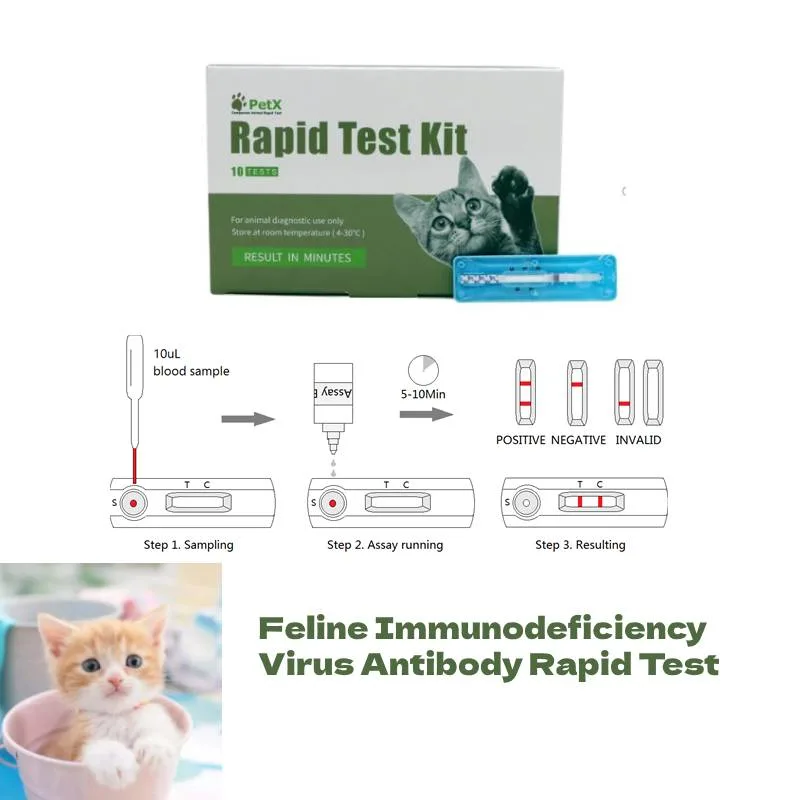 Prueba rápida de anticuerpos contra el virus de la inmunodeficiencia felina para el gato