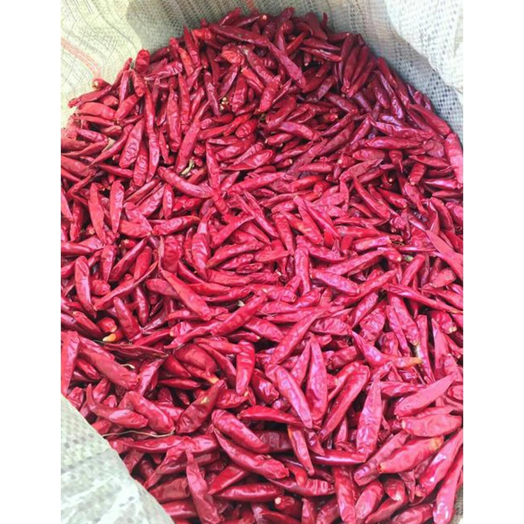 Chinese Cooking Condiments Dried Red Chili