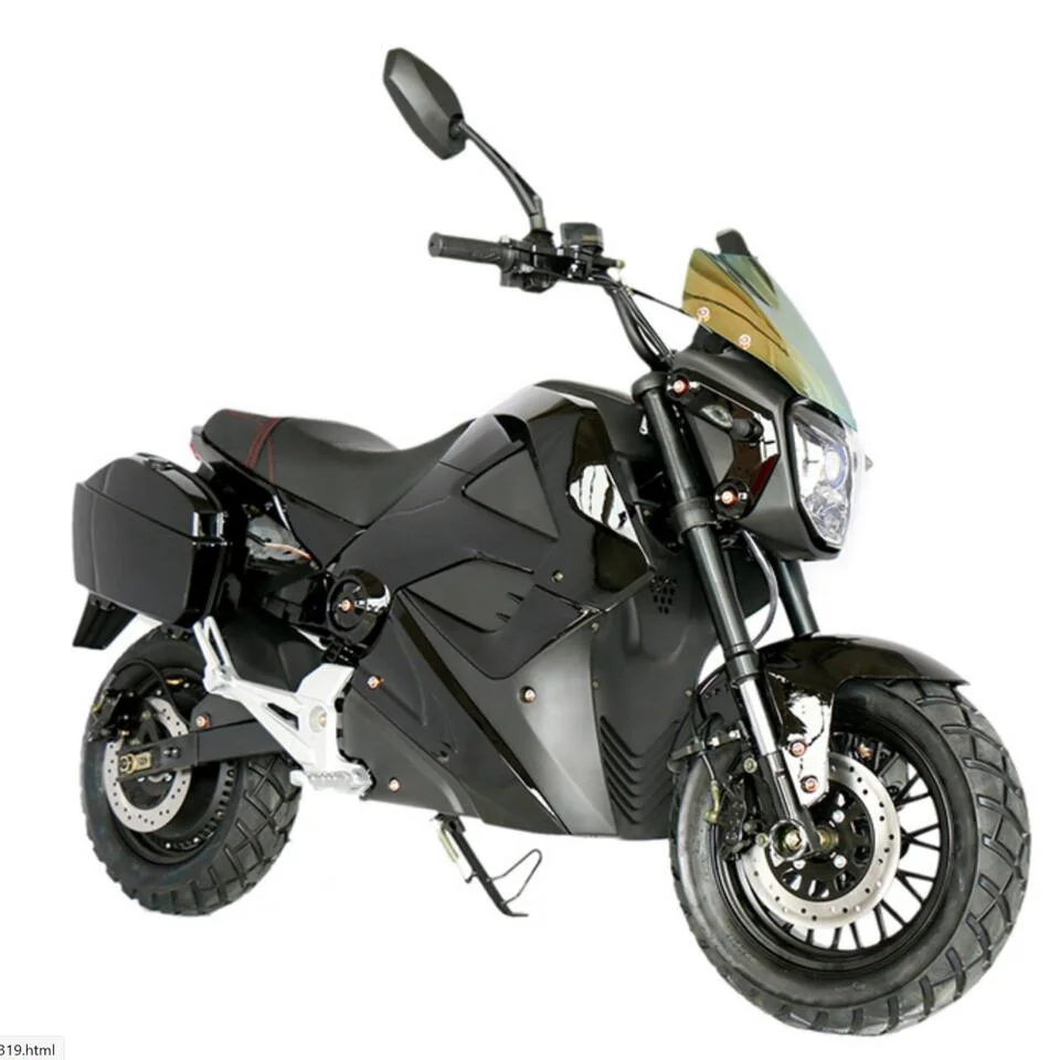 Manufacturer Wholesale/Supplier 100km/H E Motorbike Electric Motorcycle with Battery Cg Other Motorcycles