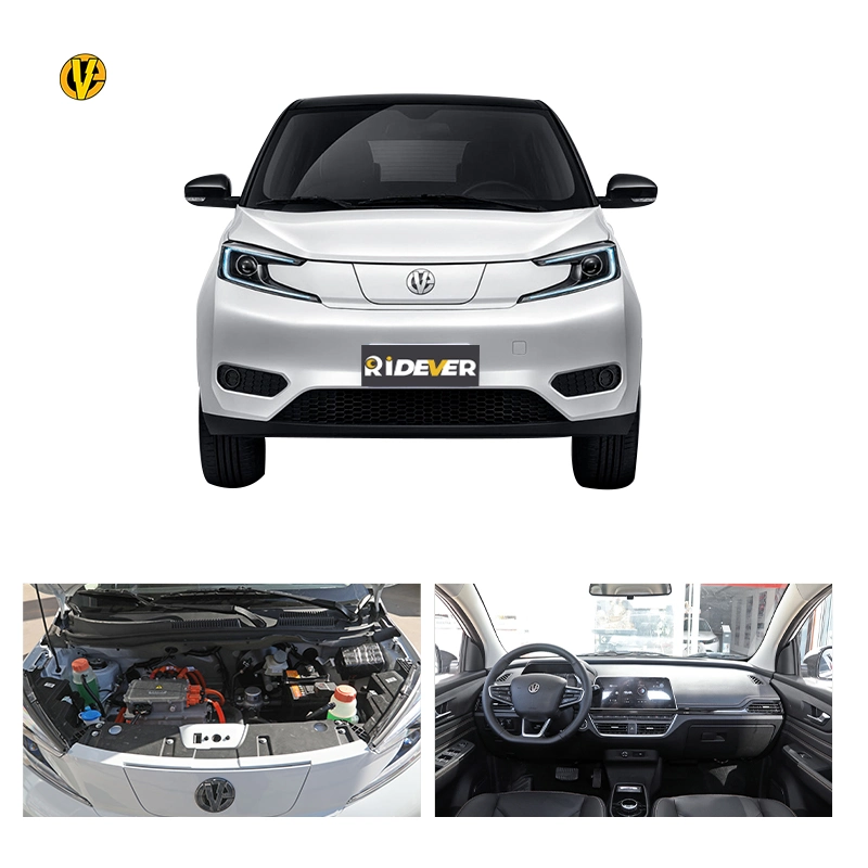 Ridever 2023 Young Guangxiaoxin Pure Electric Drive Small Electric Car Buy New Energy Vehicle Car for Sale