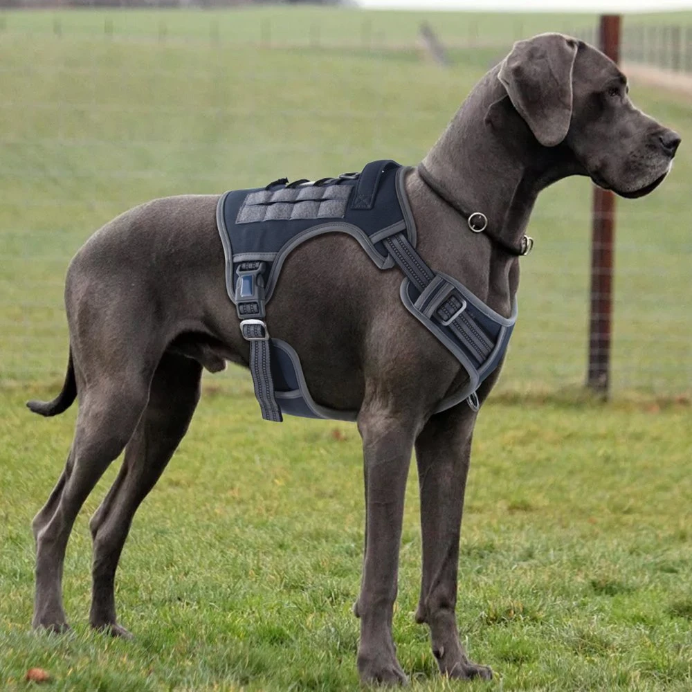 Outdoor Tactical Dog Training Harness