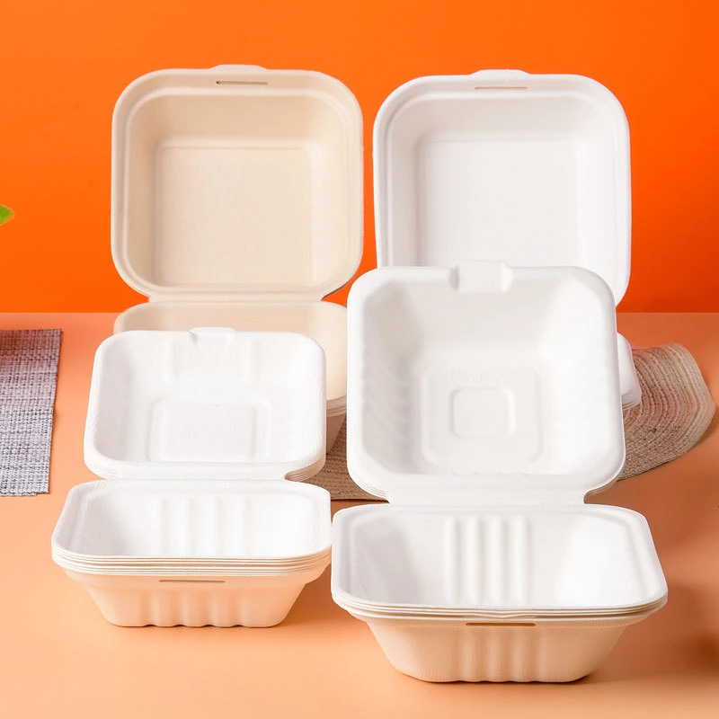 Biodegradable Tableware Disposable Boxes for Delicious Food