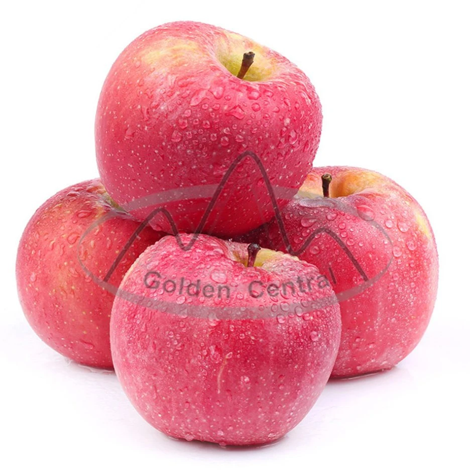 2023 jugosas manzanas Fuji rojo fresco Fabricantes Natural Precio más bajo