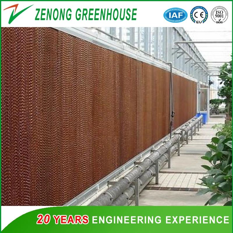 Corrugated Paper Wet Pad for Poultry/Agriculture Farming/Greenhouse Air Cooling Down