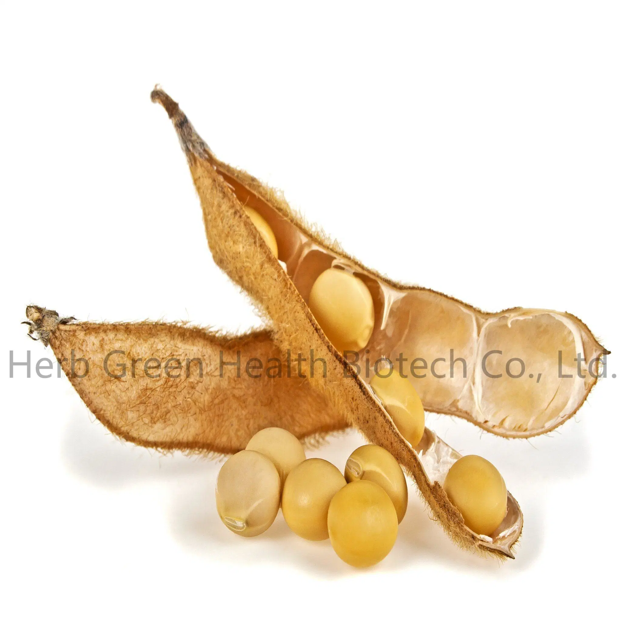 Factory Supply Natural Best Price Bulk Soybean Extract Powder Soy Isoflavones >40%