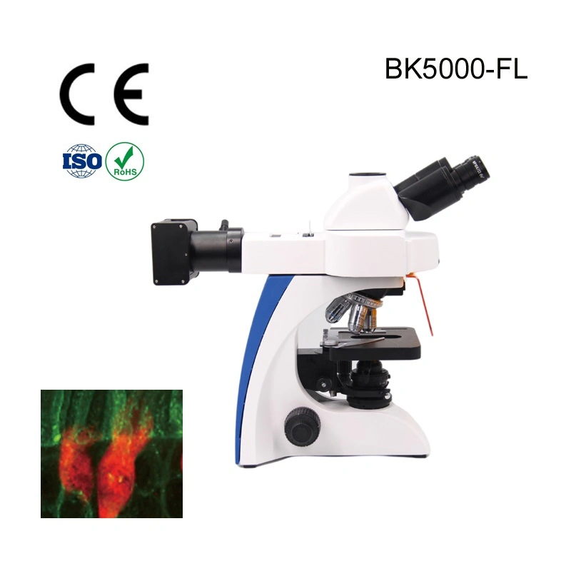 Adjustable Standspecular Fluorescence Microscope Supplier for Acrobat Microscope Stand