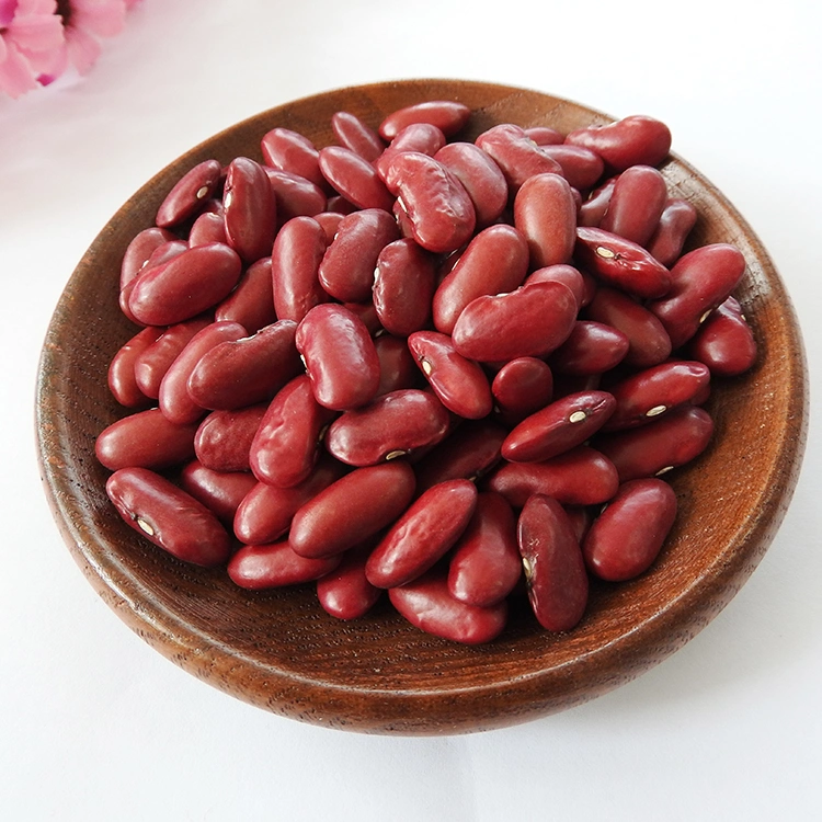New Crop Organic Dark Red Kidney Beans