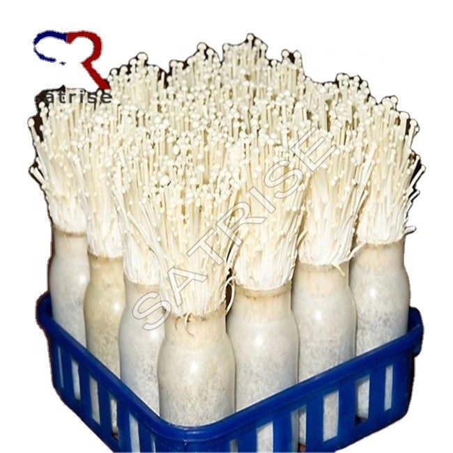 Satrise Best Price White PP Plastic Mushroom Growing Bottles for Mushroom Cultivation