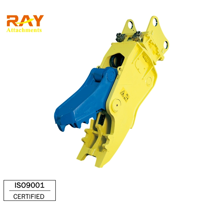 Swing Motor for Hydraulic Demolition Shearing Machine Price