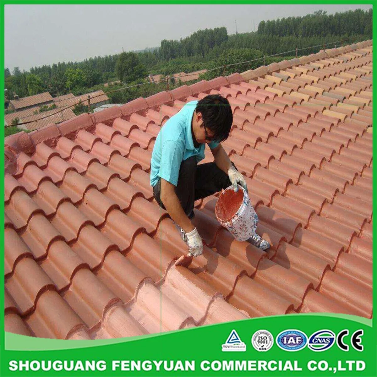 Anti-UV, Exposure Used Silicone Rubber Waterproof Coating for Roof