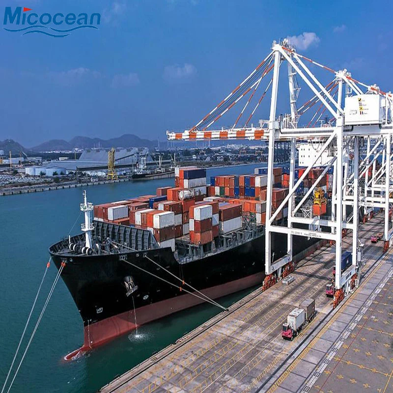 DDP DDU Cargo Ship Price Sea Shipping Agent From China to Spain