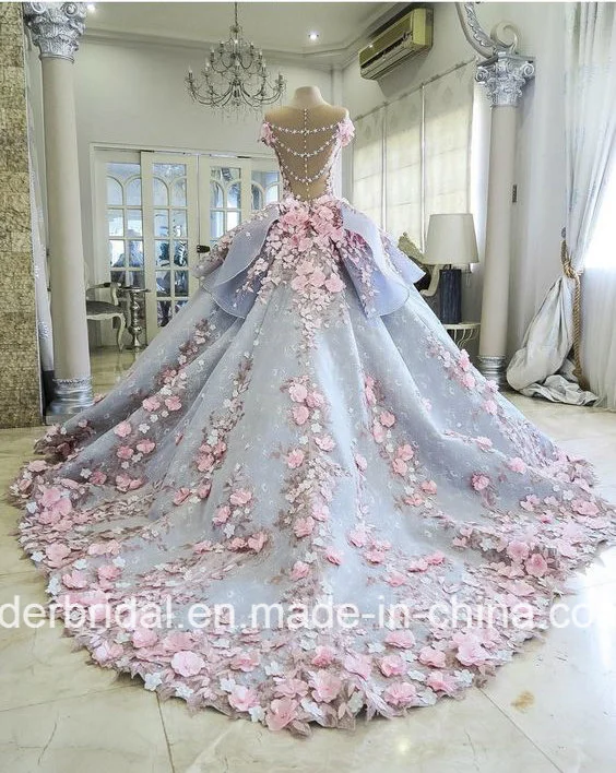 Vestidos de novia de quinceañera azules con flores y encaje Z3033