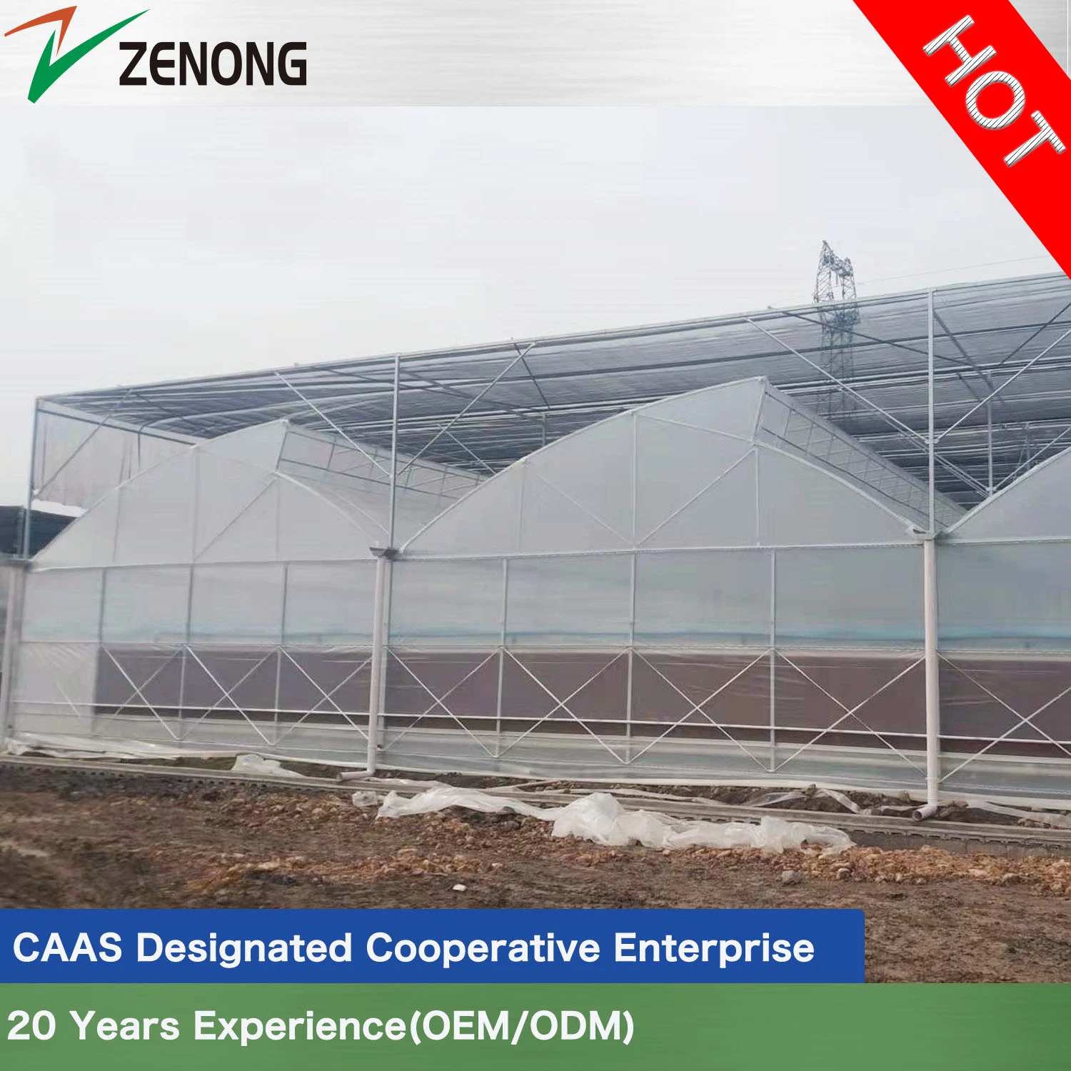 Agriculture/Commercial Intelligent Film Greenhouses with Sawtooth Ventilation Opening for Subtropical Area Vegetable/Hydroponics Culture