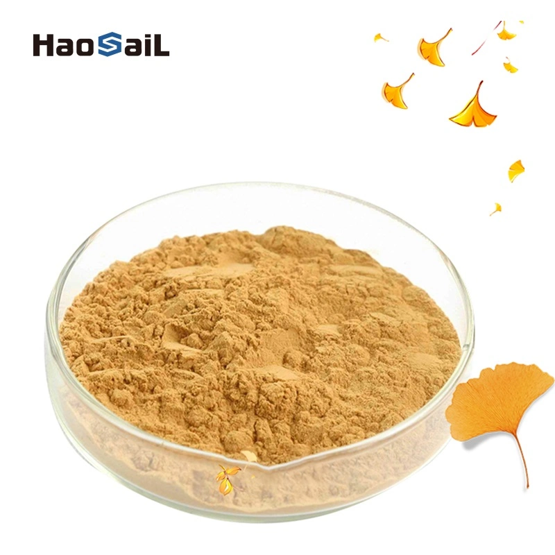 Natural Leaf Powder Folium Ginkgo Biloba Extract