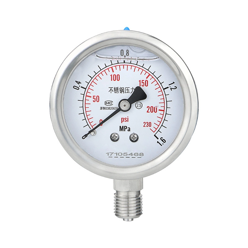 Shock-Proof Yn60bf Stainless Steel Pressure Gauge Professional Manufacture