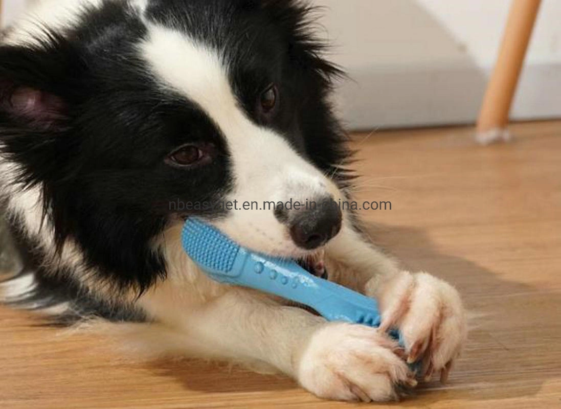 Dog Chew Toothbrush Safe, Natural, Non-Toxic and Long-Lasting Dog Pet Chew Toys, Dog Toothbrush for Dogs Esg12816