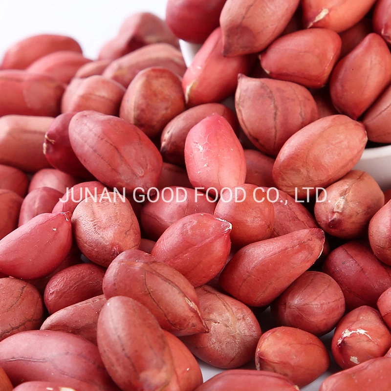 Hot Sale Peanut and Groundnut Without Shell Peanut