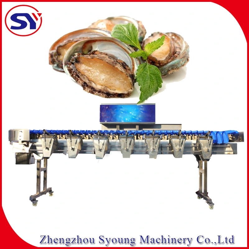 Multi-Level Seafood Sea Cucumber Weight Size Grading Classify Machine for Aquatic Industry