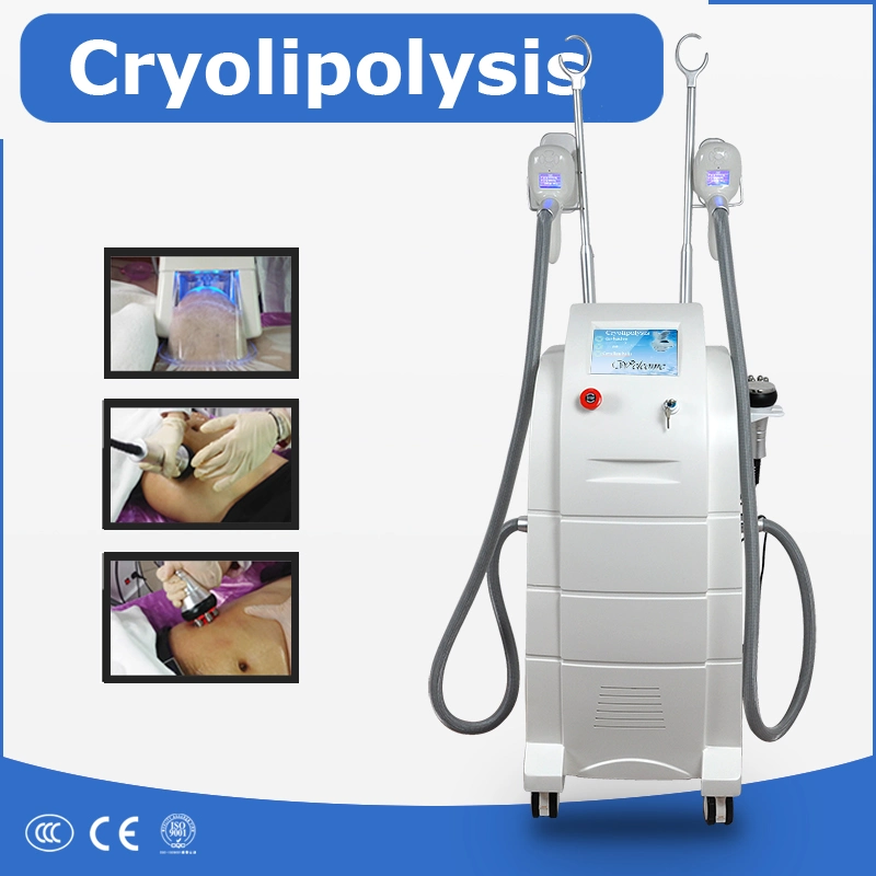 Cavitation RF Cryo Cryolipolysis Beauty Equipment for Body Slimming