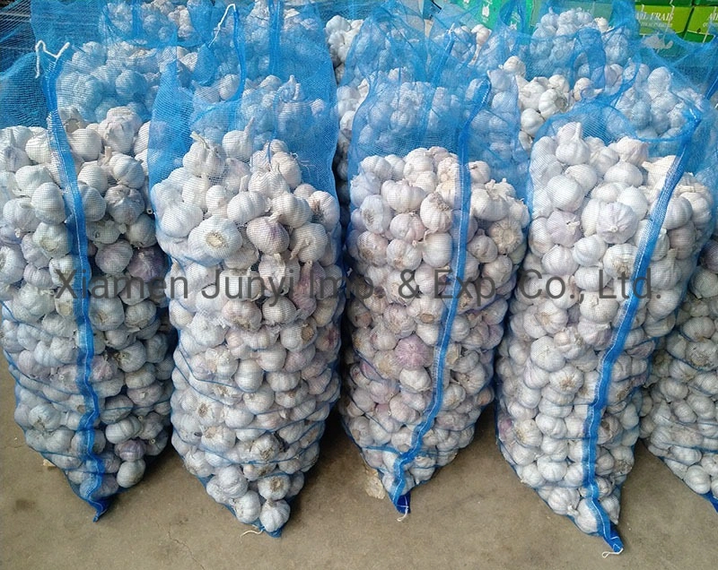 Selected Good Quality Fresh White Garlic 10kg/CTN