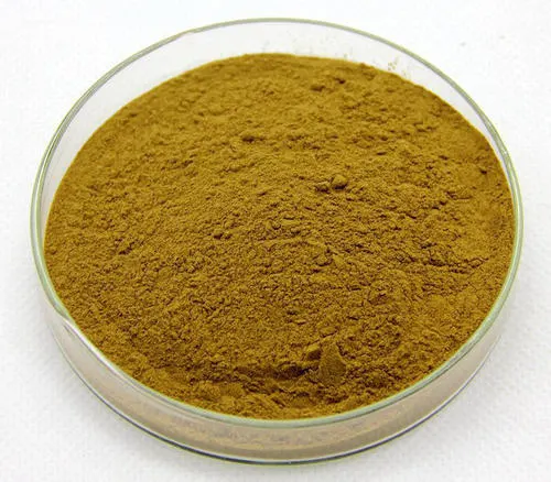 Echinacea Purpurea Chicoric Acid Echinacea Milk Thistle Silymarin Artichoke Leaf Cynarin Extract Powder