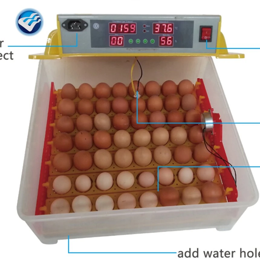 Usado incubadora EMU Eggcubator 48 Gqf para Venda 48 ovo de galinha Controlador Automático de computador totalmente Automático 8-12 anos totalmente Automático