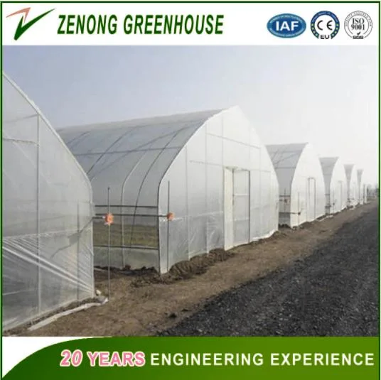 150/200 Micro Po/PE/EVA Film Covered Green House for Vegetables/Medical /Succulents Growing