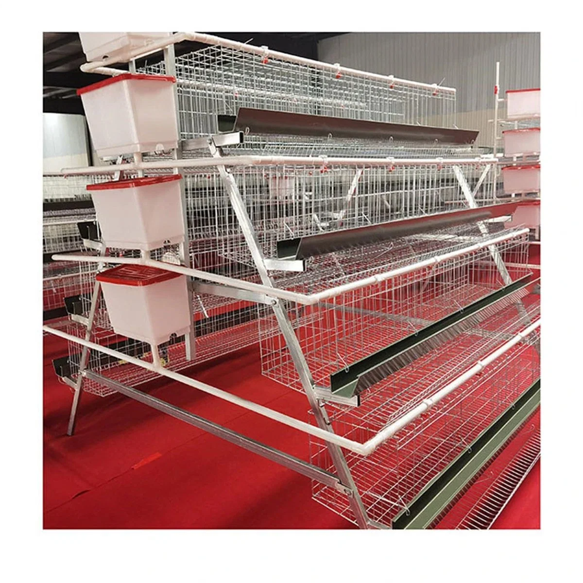 Chicken Farming/Farm Equipment/Machine Broiler Layer High Rate Baby Chicken Cage