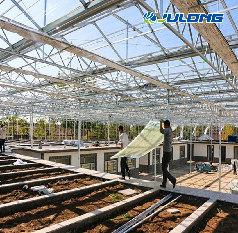 Venlo Polycarbonate Sheet Multi-Span Greenhouse with Tomato Hydroponics and Drip Irrigation