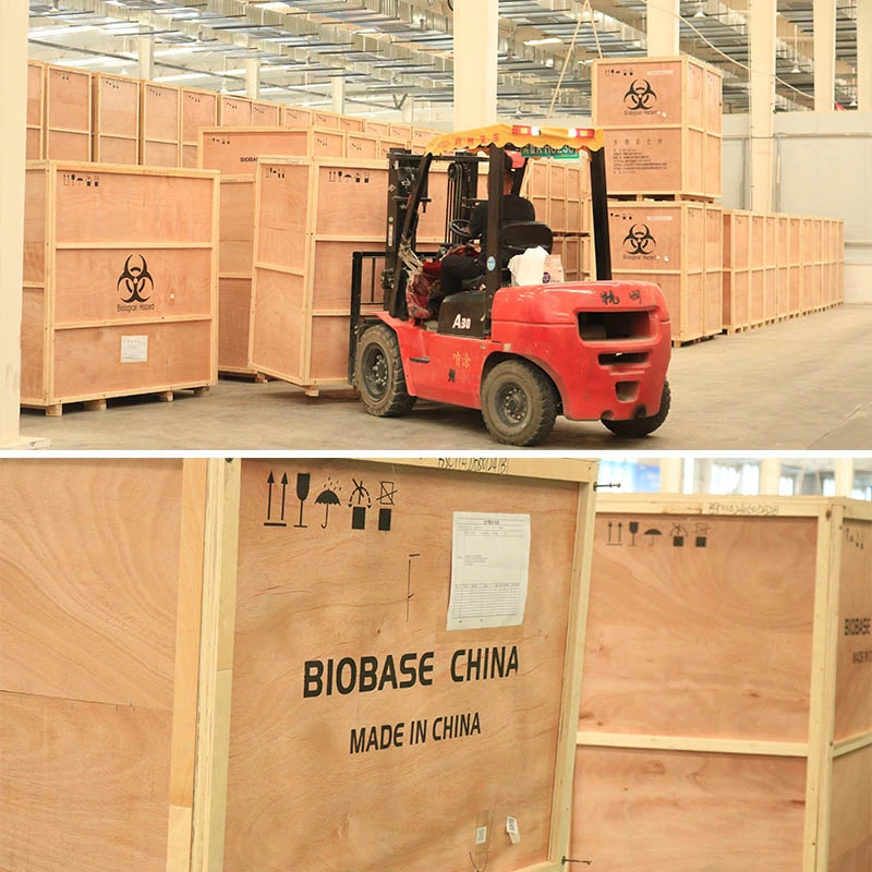 Incubadora termoestática de pequeña capacidad BioBase China