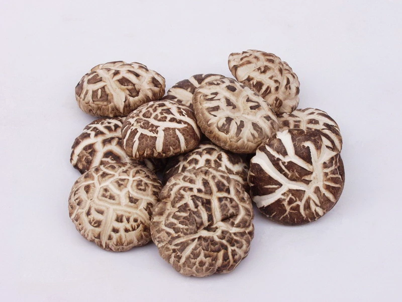 Chinese Food Dried Shiitake Mushroom