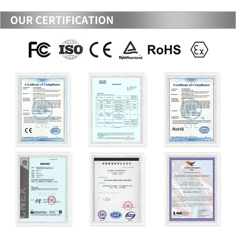 High Temperature Pressure Transmitter Multiple Electrical Connection Modes Can Be Selected