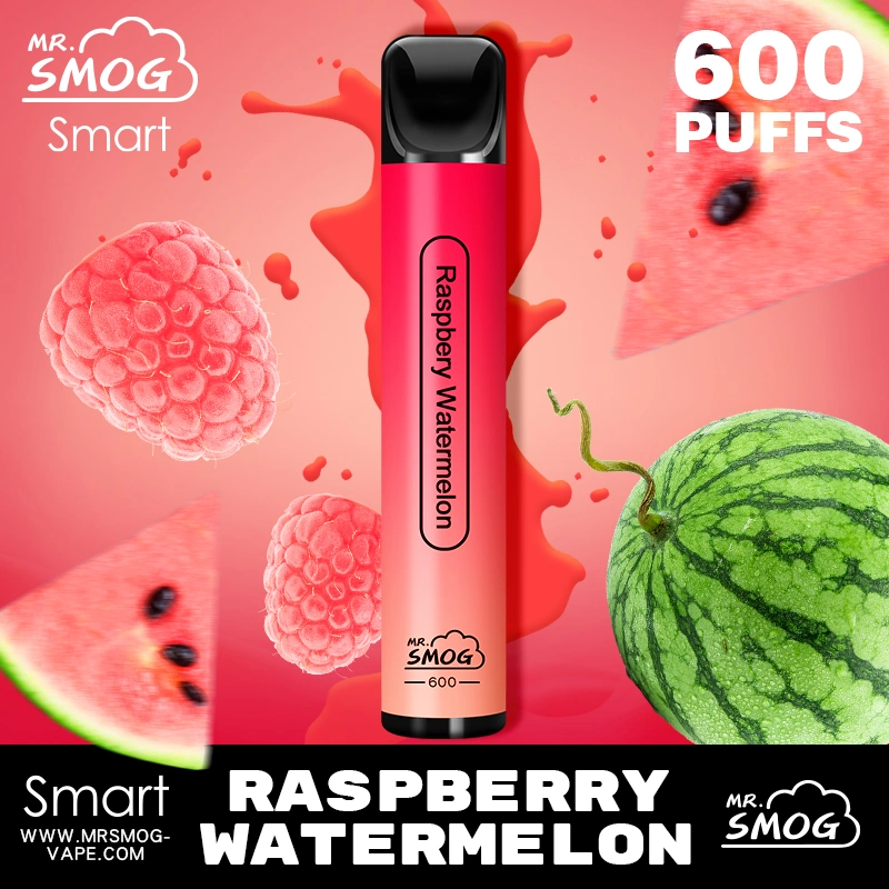 Mini Pod Vape Monsieur Le Smog de la nicotine 600 bouffées 400mAh batterie une fois Non-Rechargeable Vape 20mg 2% 2ml Sel Nic Stick électrique de la fumée Mini cigarette électronique