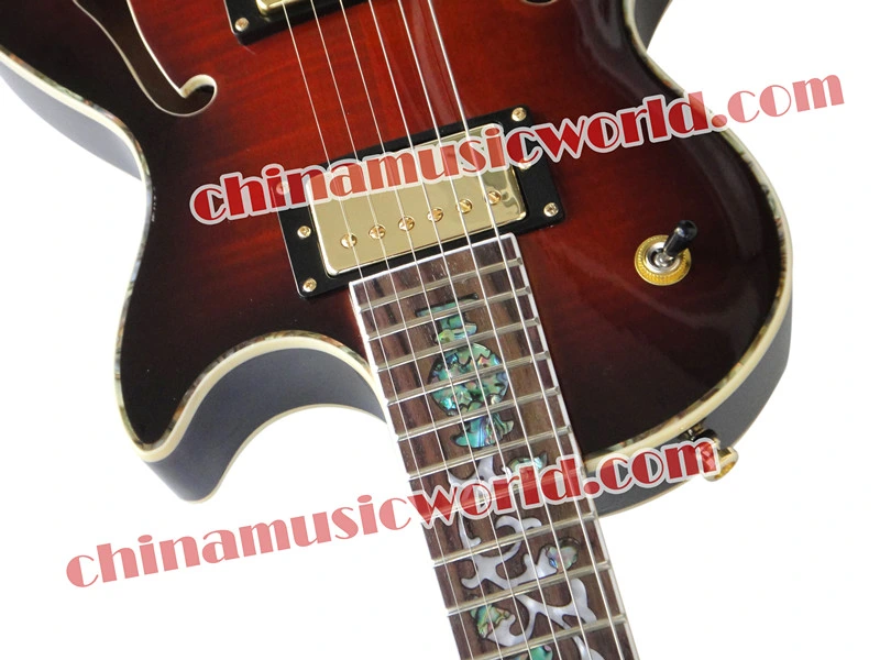 Afanti Music Lp Style Double F Holes Electric Guitar (CST-158)