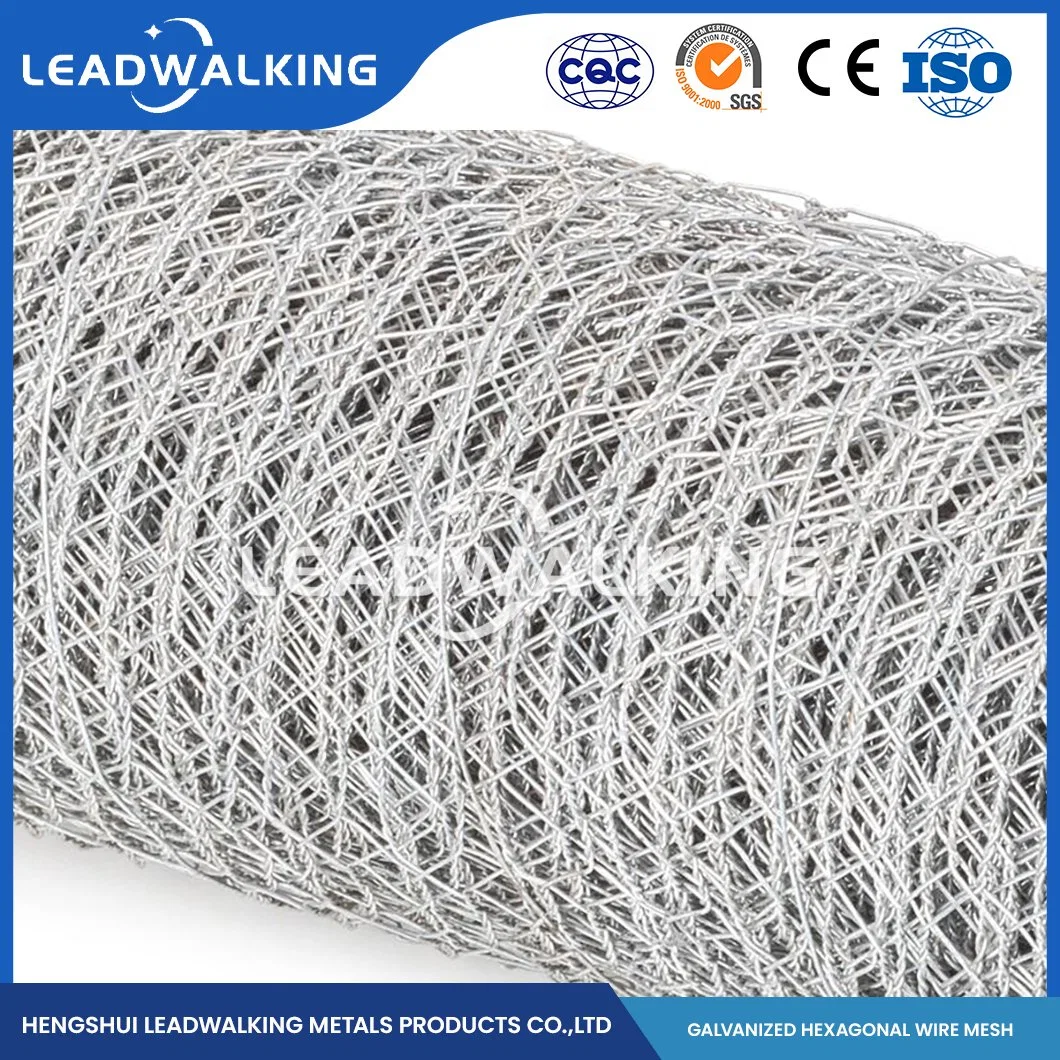 Leadwalking China Woven Type 304 316L Stainless Steel Wire Mesh Manufacturers Copper Wire 50-200cm Height Hexagonal Plastic Coated Steel Wire Hexagonal Net