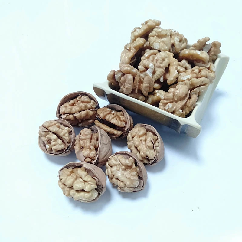 Bulk Price China Walnuts High Quality Dried Unshelled Walnut Kernels