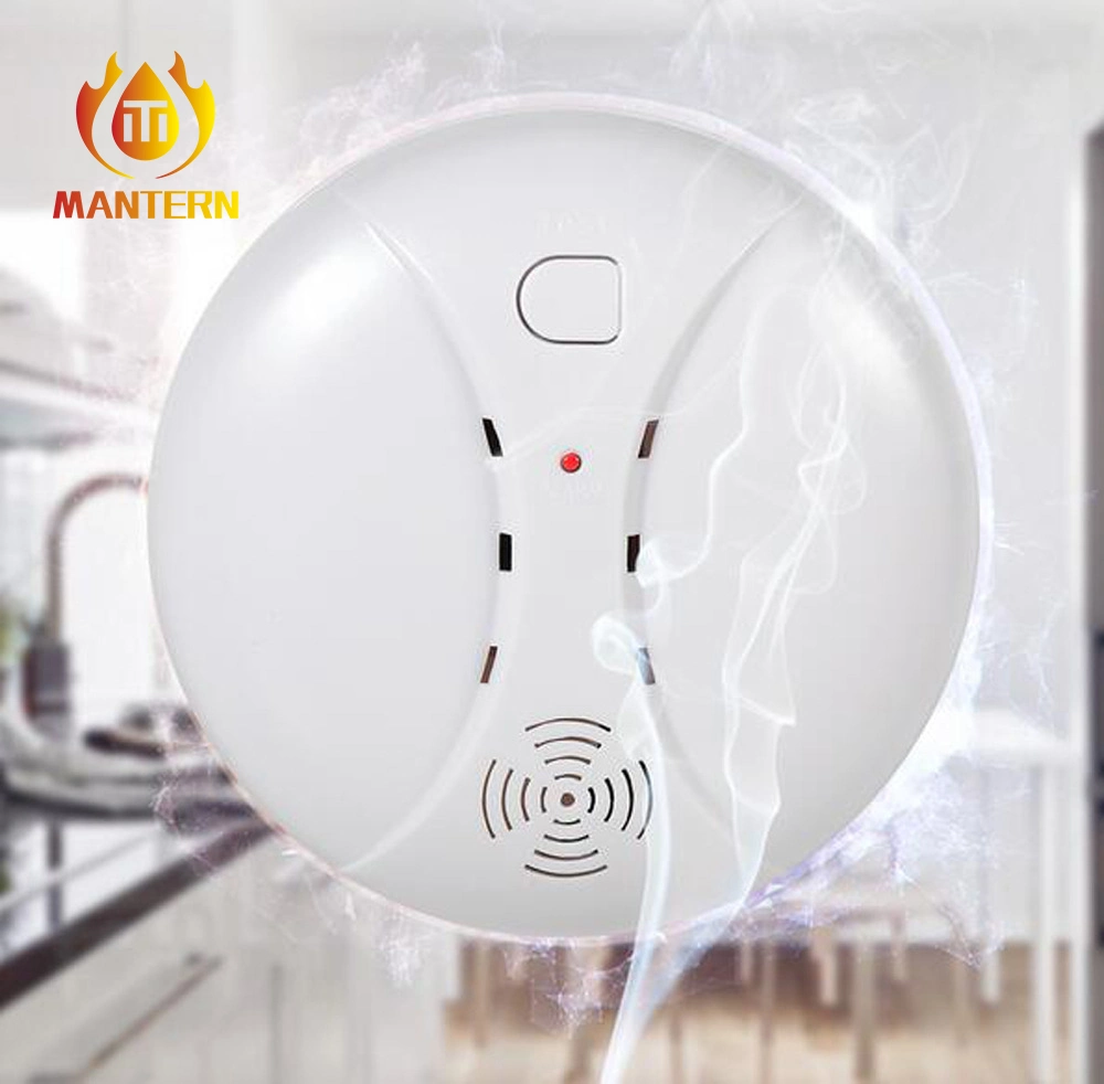 Indoor Usage Carbon Monoxide Monitor with Low Battery Warning