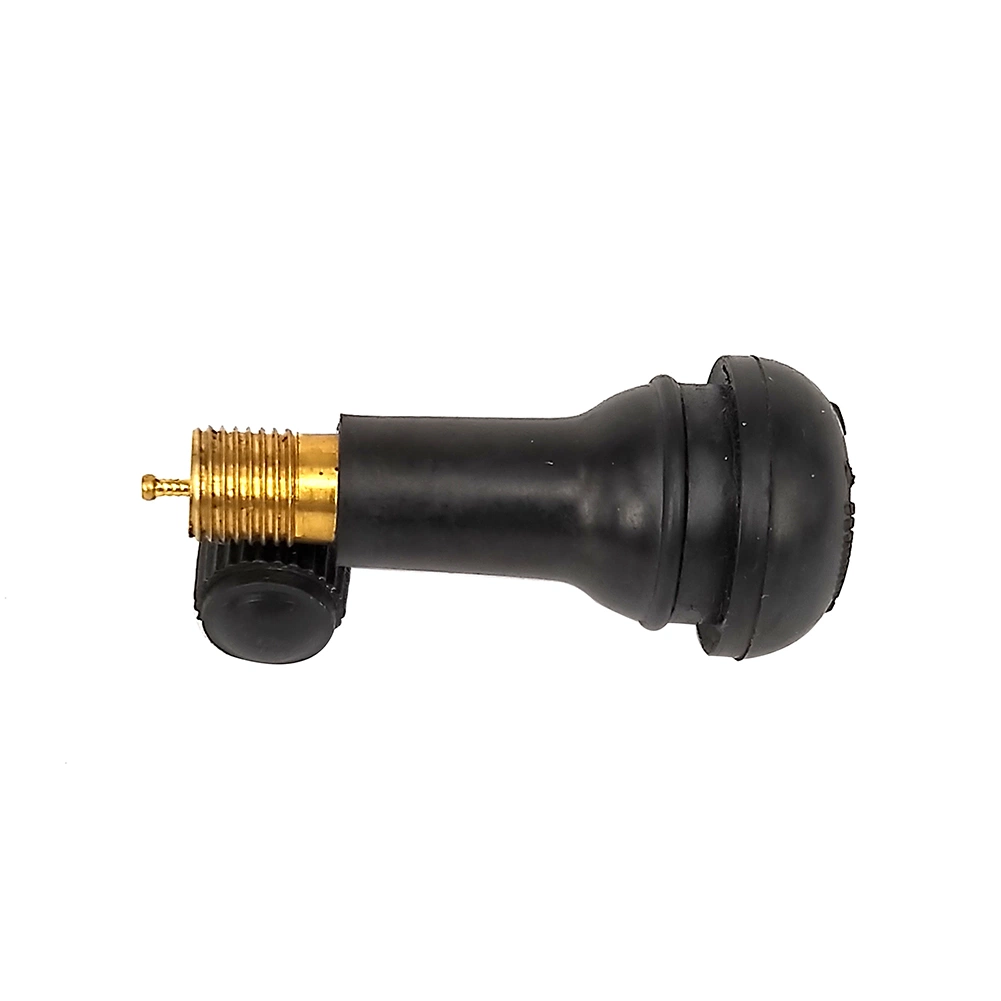 Aluminum and Natural Rubber Tubeless Tire Valve Tr418 Car Tire Nozzle