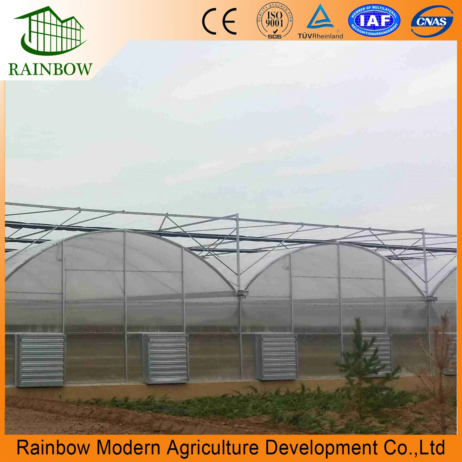 Modern Rainbow Design Multi-Span Po Film Greenhouse