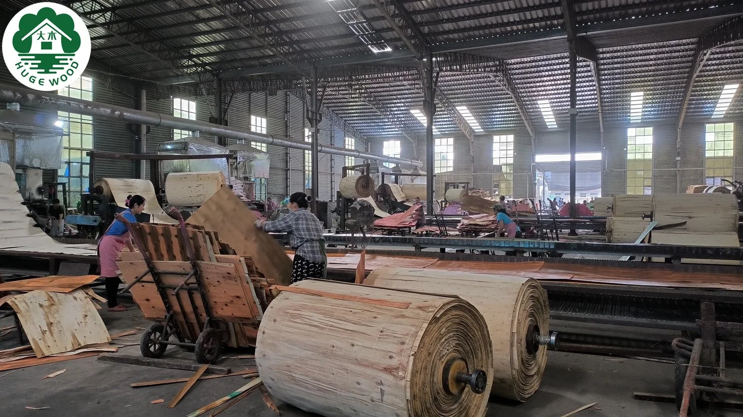 Encofrados de madera de construcción de madera contrachapada de 18mm película enfrenta el contrachapado para la construcción