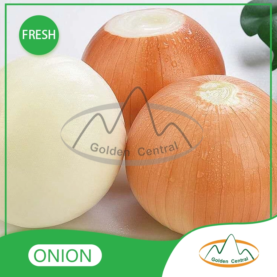 Best Quality Wholesale/Supplier Cheap Price Fresh Yellow Onion