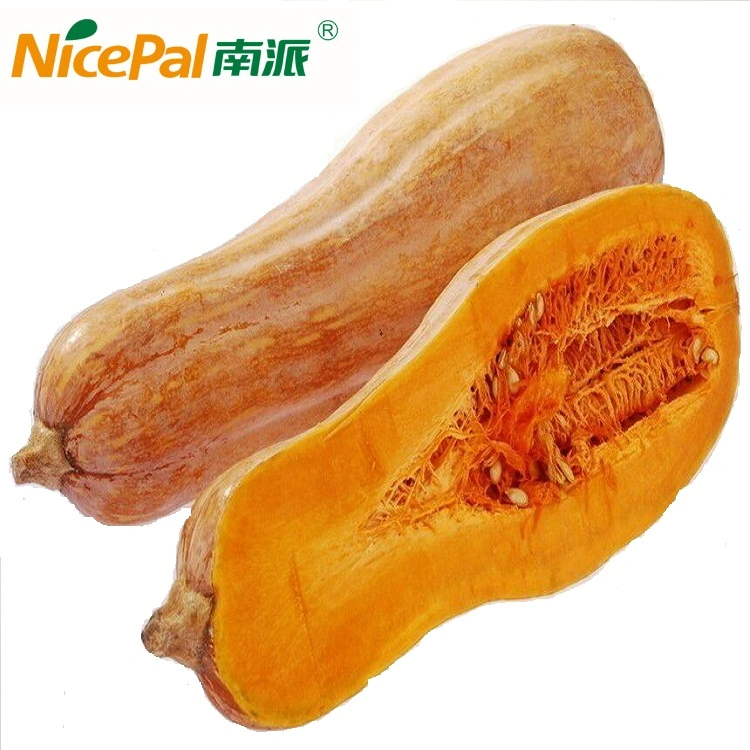 Chinese Pumpkin Powder with High Purity